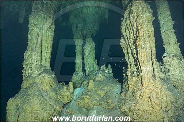 Cave, Takbeluum, Cenotes, Tulum, Yucatan, Mexico, Stalactite
