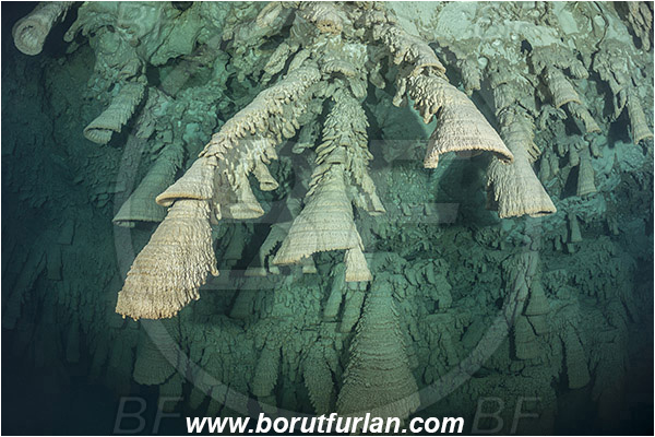 Cave, Zapote, Playa del Carmen, Cenotes, Yucatan, Mexico, Stalactite, Hell