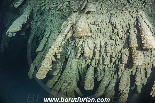 Cave, Zapote, Playa del Carmen, Cenotes, Yucatan, Mexico, Stalactite, Hell