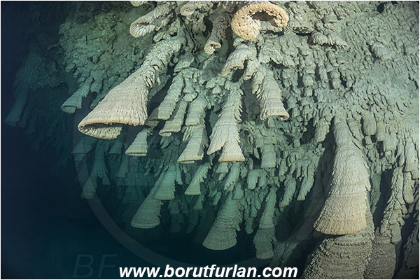 Cave, Zapote, Playa del Carmen, Cenotes, Yucatan, Mexico, Stalactite, Hell