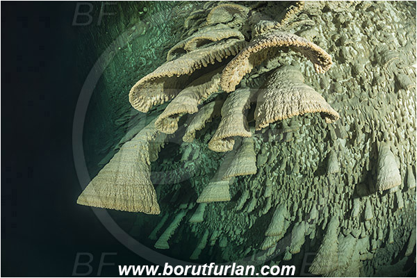 Cave, Zapote, Playa del Carmen, Cenotes, Yucatan, Mexico, Stalactite, Hell