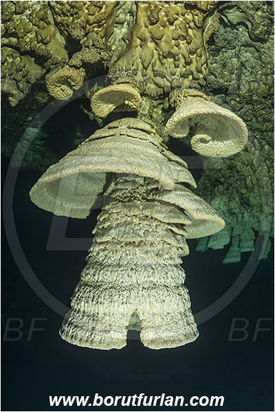 Cave, Zapote, Playa del Carmen, Cenotes, Yucatan, Mexico, Stalactite, Hell