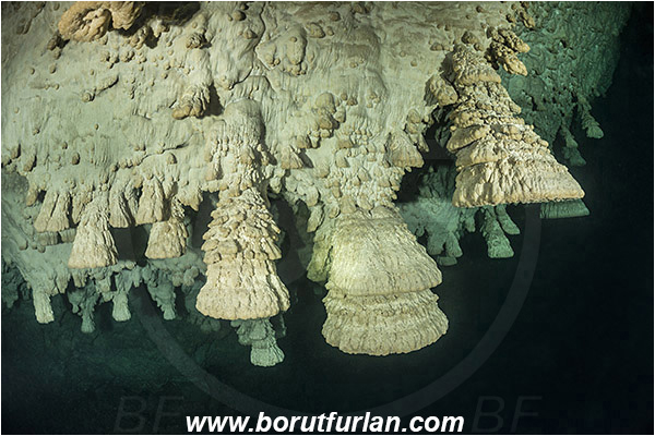 Cave, Zapote, Playa del Carmen, Cenotes, Yucatan, Mexico, Stalactite, Hell