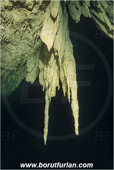 Cave, Kin Ha, Playa del Carmen, Cenotes, Yucatan, Mexico, Stalactite