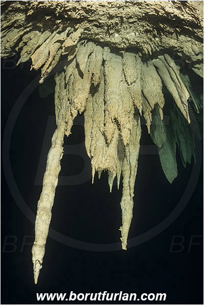 Cave, Kin Ha, Playa del Carmen, Cenotes, Yucatan, Mexico, Stalactite