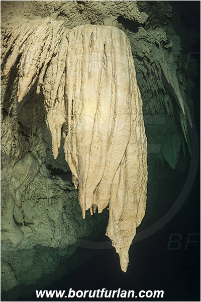 Cave, Kin Ha, Playa del Carmen, Cenotes, Yucatan, Mexico, Stalactite