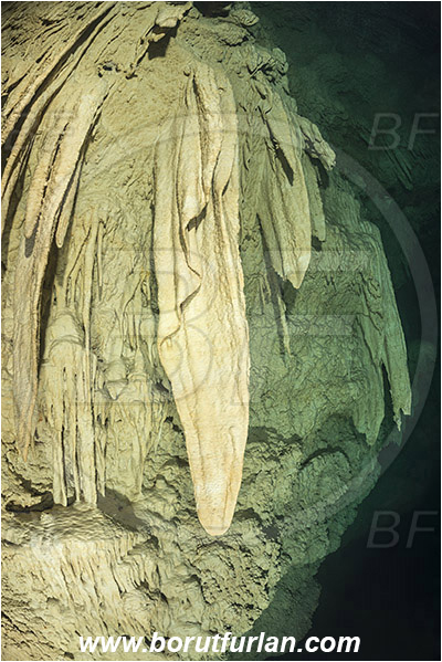 Cave, Kin Ha, Playa del Carmen, Cenotes, Yucatan, Mexico, Stalactite, Wall