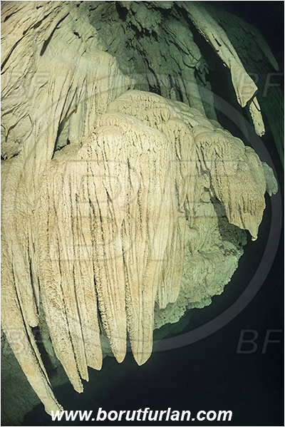 Cave, Kin Ha, Playa del Carmen, Cenotes, Yucatan, Mexico, Stalactite