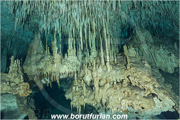 Cave, Dream gate, Cenotes, Tulum, Yucatan, Mexico, Stalactite