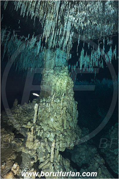 Cave, Dream gate, Cenotes, Tulum, Yucatan, Mexico, Stalactite, Air pocket, Reflection