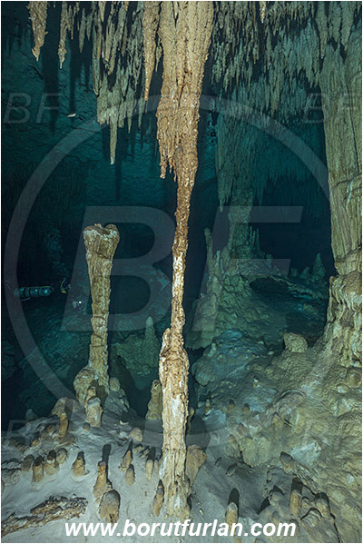 Cave, Dream gate, Cenotes, Tulum, Yucatan, Mexico, Stalactite, Diver
