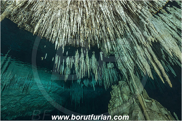 Cave, Dream gate, Cenotes, Tulum, Yucatan, Mexico, Stalactite, Air pocket, Reflection