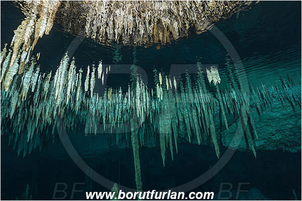 Cave, Dream gate, Cenotes, Tulum, Yucatan, Mexico, Stalactite, Air pocket, Reflection