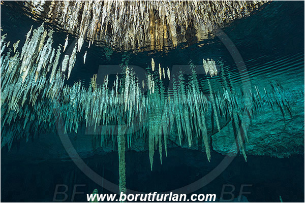 Cave, Dream gate, Cenotes, Tulum, Yucatan, Mexico, Stalactite, Air pocket, Reflection