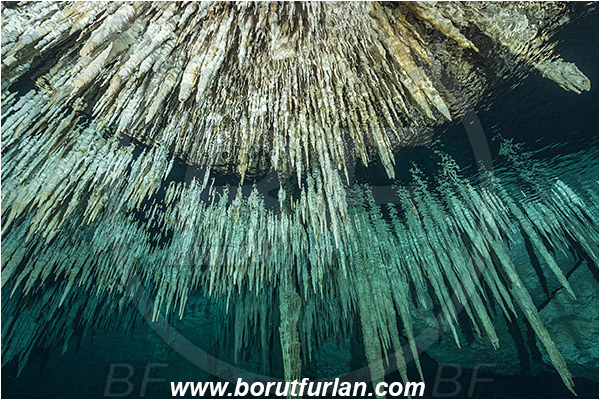 Cave, Dream gate, Cenotes, Tulum, Yucatan, Mexico, Stalactite, Air pocket, Reflection