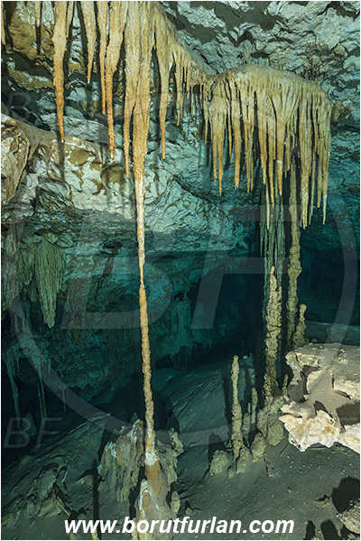 Cave, Dream gate, Cenotes, Tulum, Yucatan, Mexico, Stalactite
