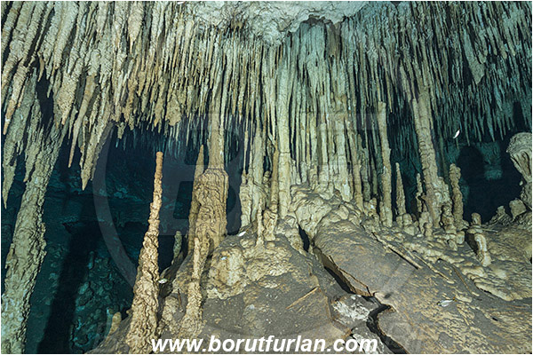 Cave, Dream gate, Cenotes, Tulum, Yucatan, Mexico, Stalactite