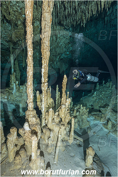 Cave, Dream gate, Cenotes, Tulum, Yucatan, Mexico, Stalactite, Diver