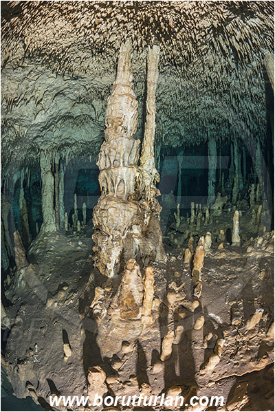 Cave, Dream gate, Cenotes, Tulum, Yucatan, Mexico, Stalactite