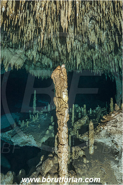 Cave, Dream gate, Cenotes, Tulum, Yucatan, Mexico, Stalactite