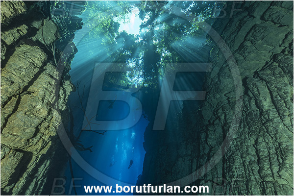 Sibuli River, New Britain, Papua New Guinea, Lake, Surface, Tree, Light rays, Canyon, Diver