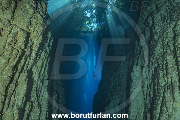 Sibuli River, New Britain, Papua New Guinea, Lake, Surface, Tree, Light rays, Canyon, Diver