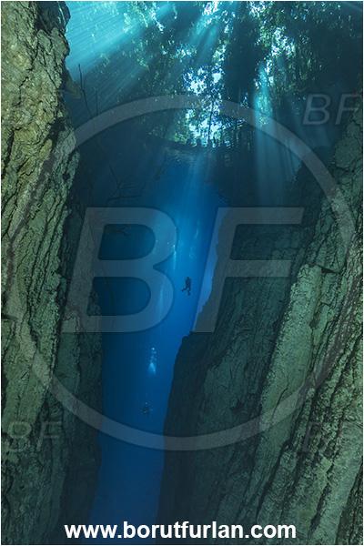 Sibuli River, New Britain, Papua New Guinea, Lake, Surface, Tree, Light rays, Canyon, Diver