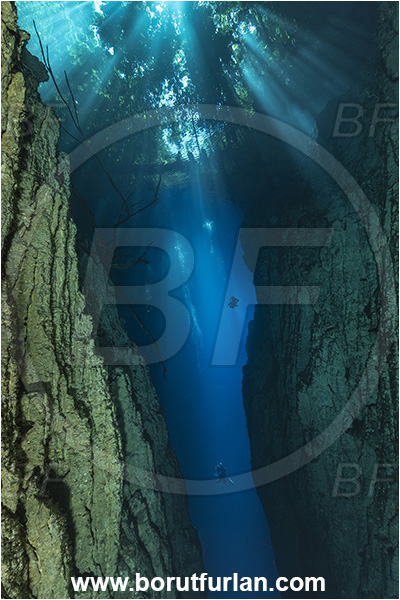 Sibuli River, New Britain, Papua New Guinea, Lake, Surface, Tree, Light rays, Canyon, Diver