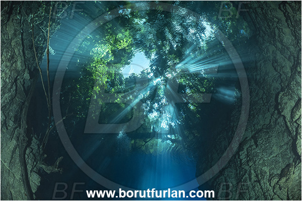 Sibuli River, New Britain, Papua New Guinea, Lake, Surface, Tree, Light rays
