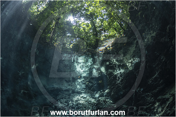 Sibuli River, New Britain, Papua New Guinea, Lake, Surface, Tree