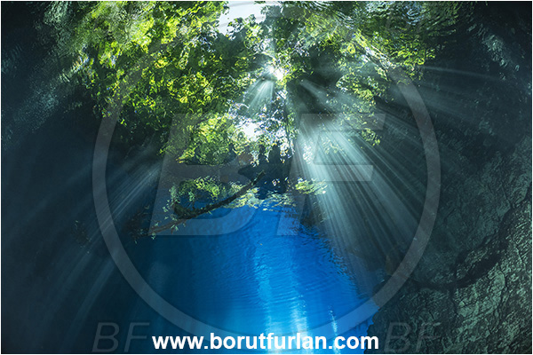 Sibuli River, New Britain, Papua New Guinea, Lake, Surface, Tree, Light rays