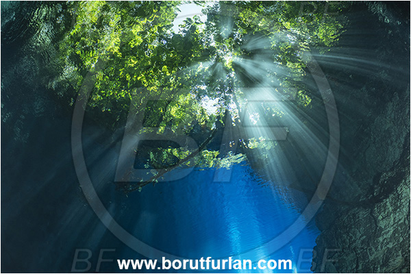 Sibuli River, New Britain, Papua New Guinea, Lake, Surface, Tree, Light rays