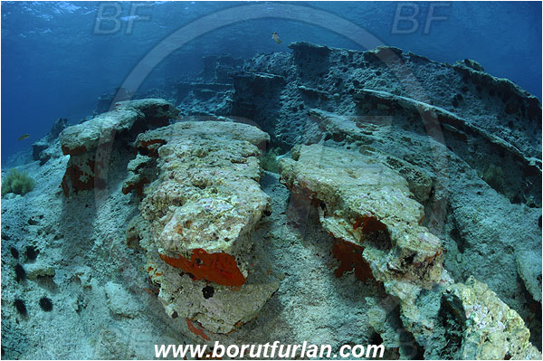 Island Lastovo, Croatia, Adriatic sea, Mediterranean sea, Reef, Rocks