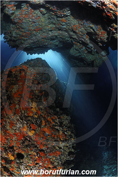 Island Susac, Croatia, Adriatic sea, Mediterranean sea, Reef, Cave, Sponges, Porifera, Light rays