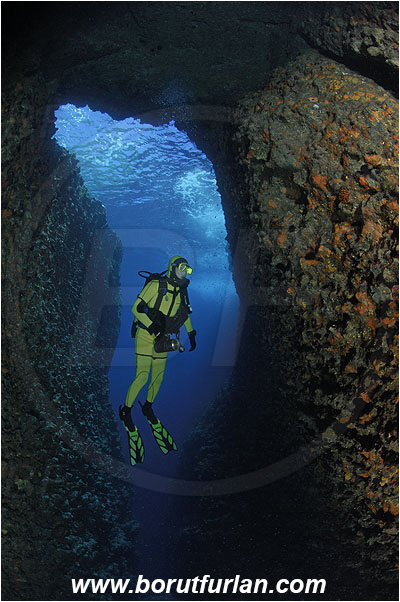 Island Susac, Croatia, Adriatic sea, Mediterranean sea, Reef, Cave, Diver, Canyon