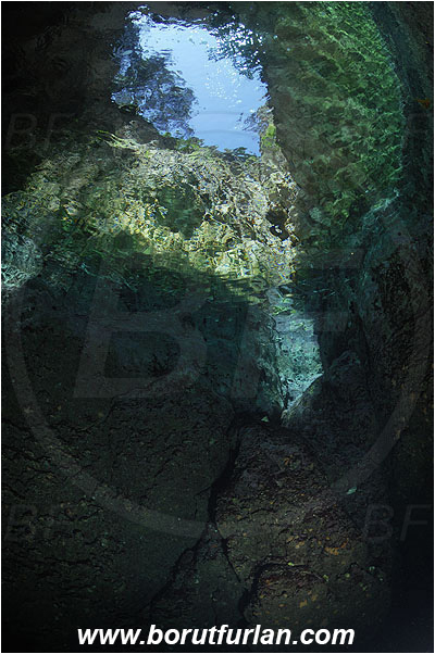 Island Susac, Croatia, Adriatic sea, Mediterranean sea, Reef, Cave, Sea lake, Trees
