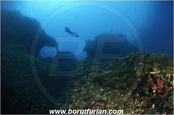 Island Susac, Croatia, Adriatic sea, Mediterranean sea, Reef, Window, Diver