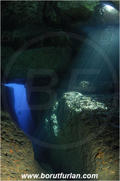 Island Susac, Croatia, Adriatic sea, Mediterranean sea, Reef, Cave, Diver, Light rays, Canyon