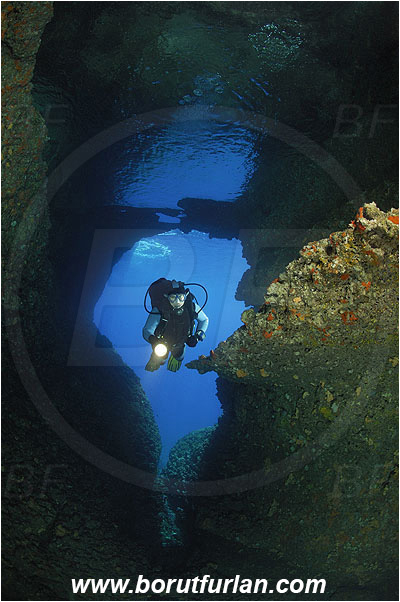 Island Vis, Croatia, Adriatic sea, Mediterranean sea, Reef, Cave, Diver