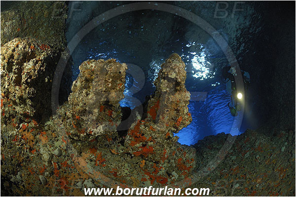 Island Vis, Croatia, Adriatic sea, Mediterranean sea, Reef, Cave, Rocks, Diver