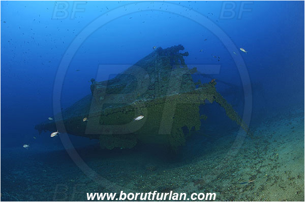Island Vis, Croatia, Adriatic sea, Mediterranean sea, Wreck Brioni, Wreck, Brioni, Bow