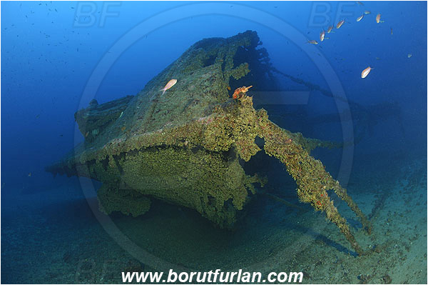 Island Vis, Croatia, Adriatic sea, Mediterranean sea, Wreck Brioni, Wreck, Brioni, Bow