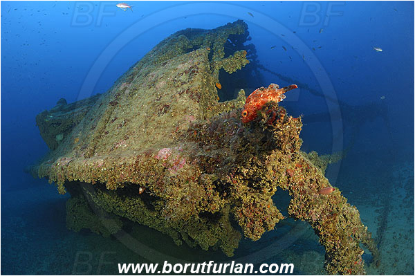 Island Vis, Croatia, Adriatic sea, Mediterranean sea, Wreck Brioni, Wreck, Brioni, Bow