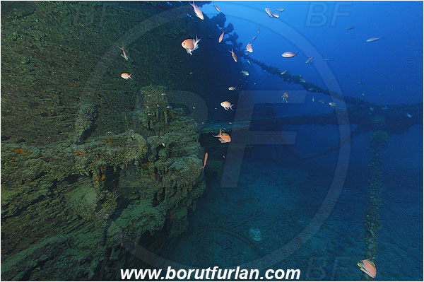Island Vis, Croatia, Adriatic sea, Mediterranean sea, Wreck Brioni, Wreck, Brioni, Bow