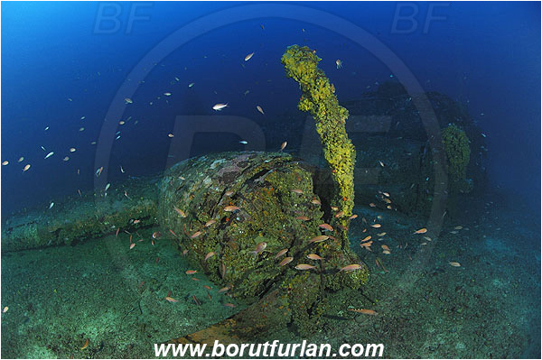 Island Vis, Croatia, Adriatic sea, Mediterranean sea, Wreck, Airplane, Bomber, B-17, Flying fortress, Propeller