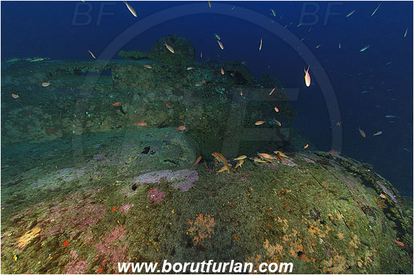 Island Vis, Croatia, Adriatic sea, Mediterranean sea, Wreck, Airplane, Bomber, B-17, Flying fortress