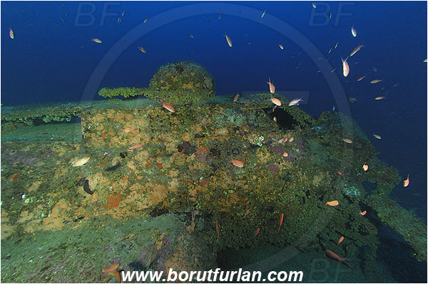 Island Vis, Croatia, Adriatic sea, Mediterranean sea, Wreck, Airplane, Bomber, B-17, Flying fortress