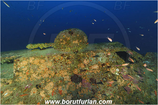 Island Vis, Croatia, Adriatic sea, Mediterranean sea, Wreck, Airplane, Bomber, B-17, Flying fortress