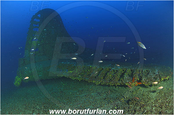 Island Vis, Croatia, Adriatic sea, Mediterranean sea, Wreck, Airplane, Bomber, B-17, Flying fortress