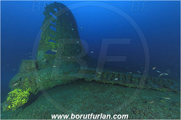 Island Vis, Croatia, Adriatic sea, Mediterranean sea, Wreck, Airplane, Bomber, B-17, Flying fortress